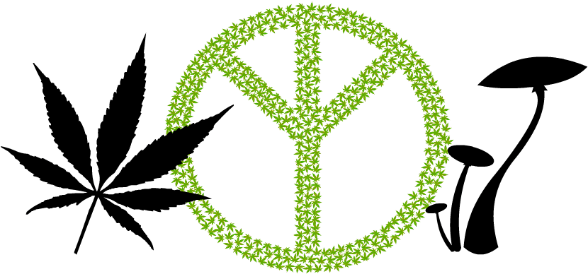 I Have Studied Permaculture Extensively, And I Am Currently - Cannabis Plant Leaf Set Of 4 Temporary Tattoos (lasts (844x399)