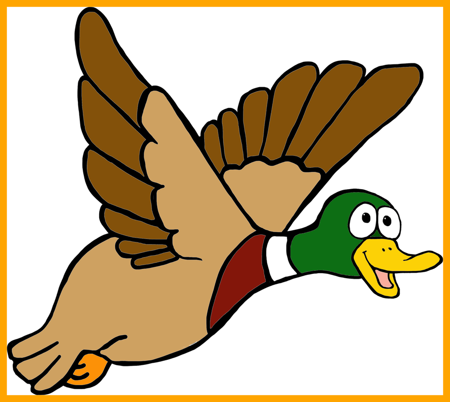 Mallard Coloring Page Free - Transparent Background Duck Clipart (908x812)