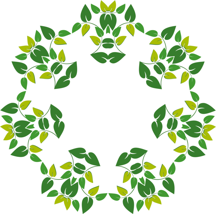 Leaf Download Drawing Symbol Vecteur - Leafy Design (757x750)