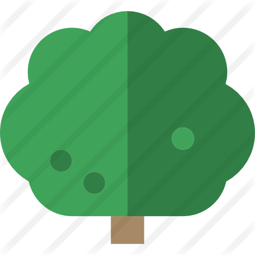 Oak - Oak (512x512)