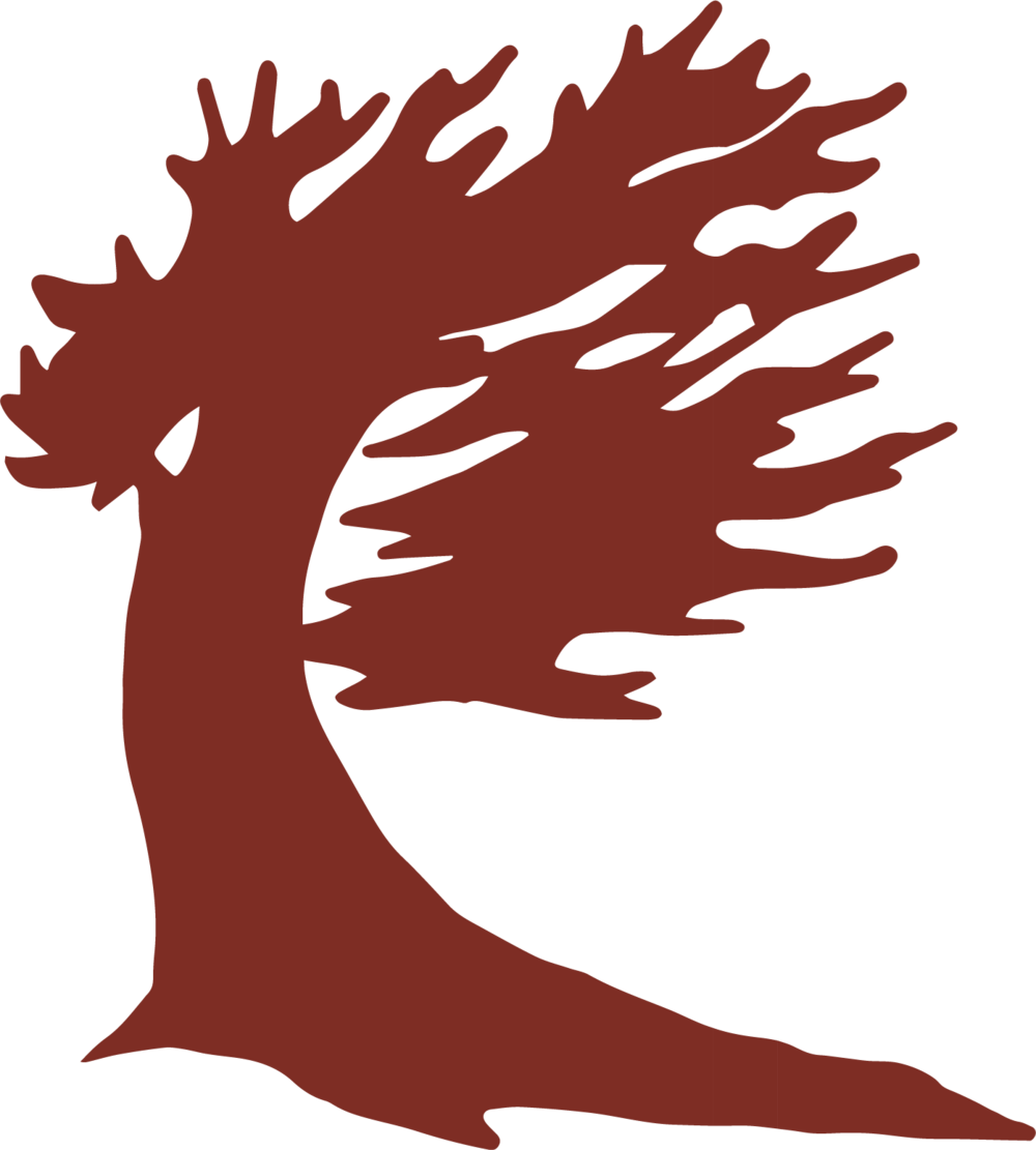 Bristlecone Icon Red Format=1000w - Bristlecone Icon Red Format=1000w (1000x1111)