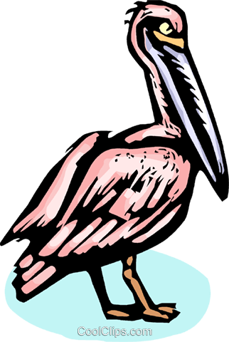 Pelican Royalty Free Vector Clip Art Illustration - Turkey (322x480)