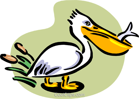 Pelican With Fish Royalty Free Vector Clip Art Illustration - Pelican Clipart Free (480x344)