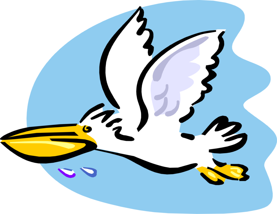 Vector Illustration Of Large Water Bird Pelican Flying - Cartoon Pelican Flying (905x700)