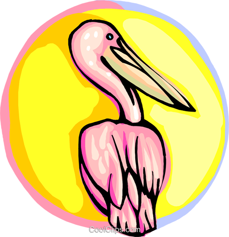 Pelican Royalty Free Vector Clip Art Illustration - Pelican Royalty Free Vector Clip Art Illustration (465x480)