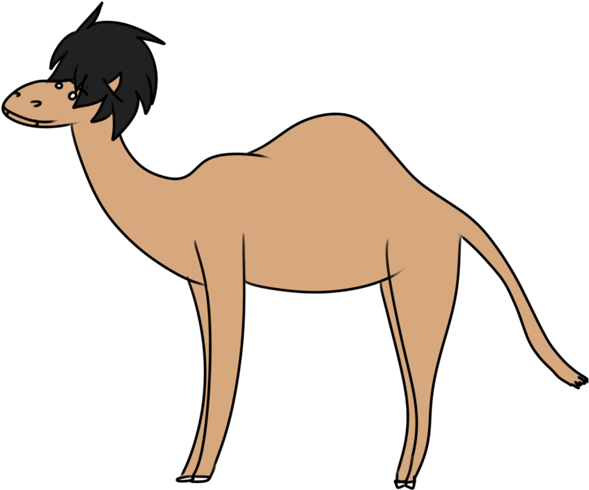 Graphic Free Library Camels Drawing Side View - Arabian Camel (976x818)