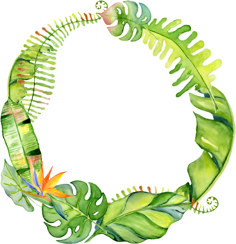 Hand Drawn Circle Png Transparent With Leaves - Tropical Leaf Wreath (1024x1024)