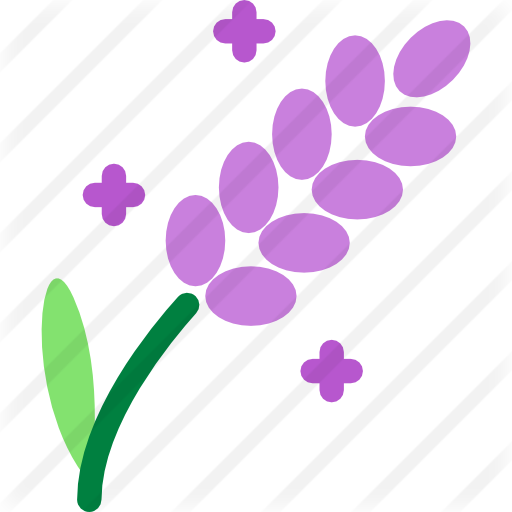 Lavender Png Free - Lavender Free Icon (512x512)