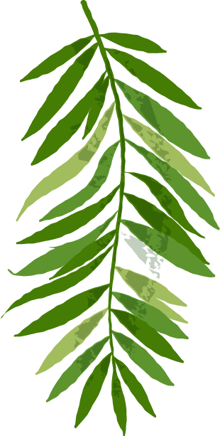 Discover Your Honeymoon Style - Smooth Sumac (310x613)