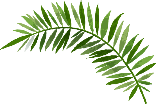 Discover Your Honeymoon Style - Mexico Beach (548x366)