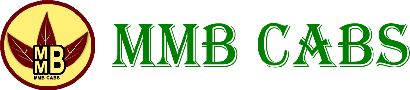 About Us - Amerifirst Financial Inc Png (835x199)