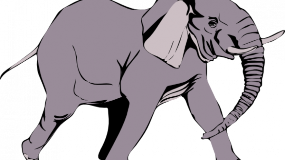 Elephants Clipart Elephant Clip Art Black And White - Frog And Elephant Story (585x329)