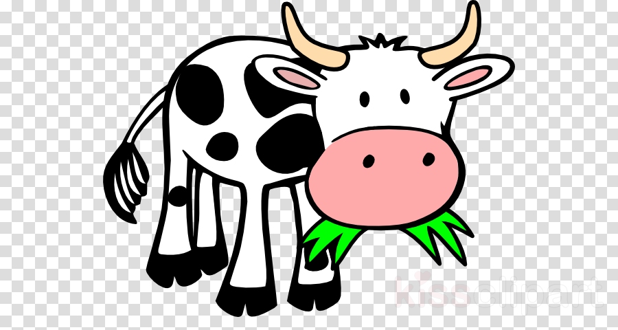 Cartoon Cow Eating Grass Clipart Cattle Calf - Cow Eating Grass Drawing (900x480)