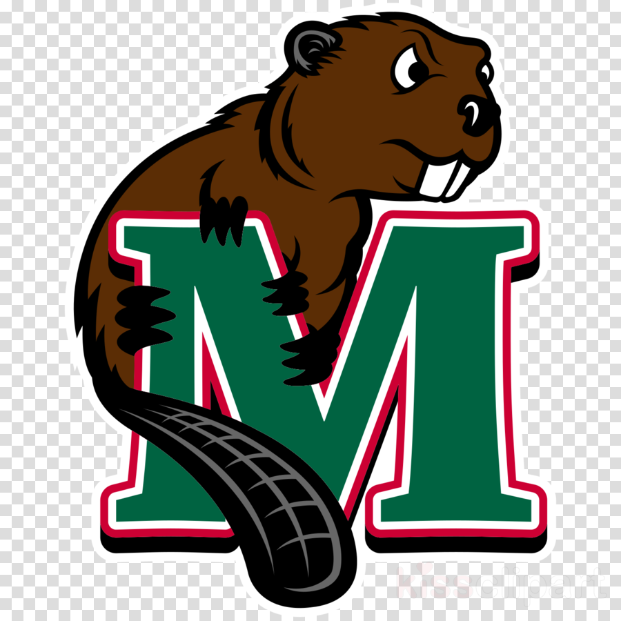 Minot State Beavers Logo Clipart Minot State University - Minot State Beavers Logo (900x900)