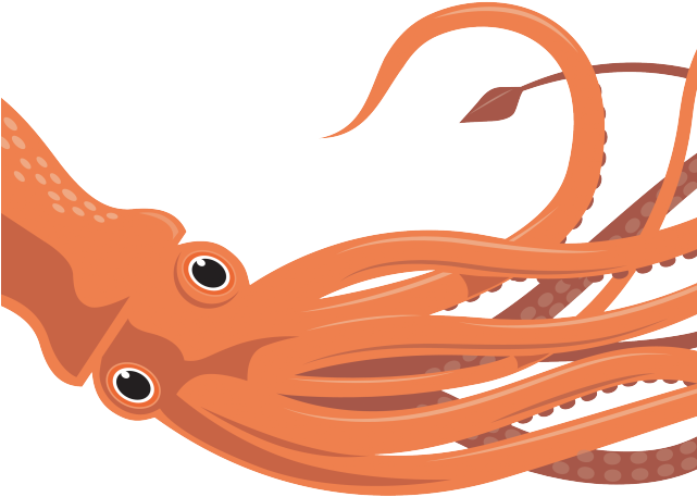 Realistic Clipart Squid - Giant Squid Clip Art (640x480)
