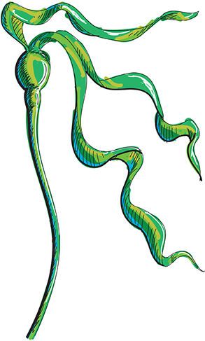 Swift Engineering Inc. (293x487)