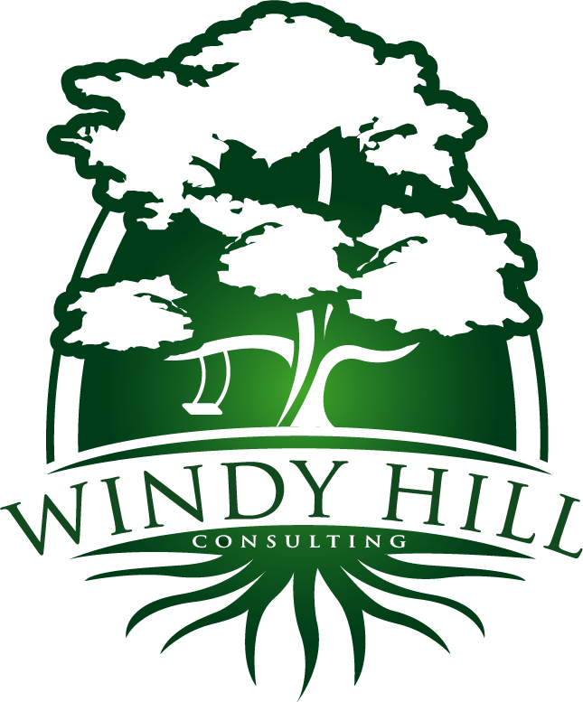Windy Hill Consulting - Experience And Education (645x777)