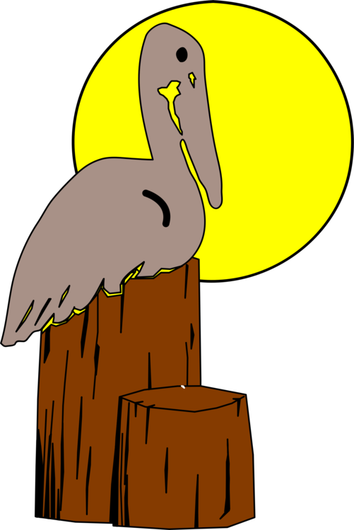 Bird Nest Brown Pelican Drawing Animal - Drawings Of Louisiana State Bird (501x750)