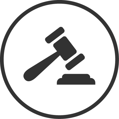 Compliance With Critical Regulations, Such As Ifrs17, - Regulatory Icon Png (413x413)