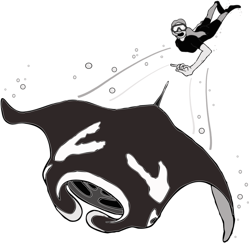 Chances Are If You Are Diving With A Manta, You Will - Code Of Conduct Manta (1000x1009)