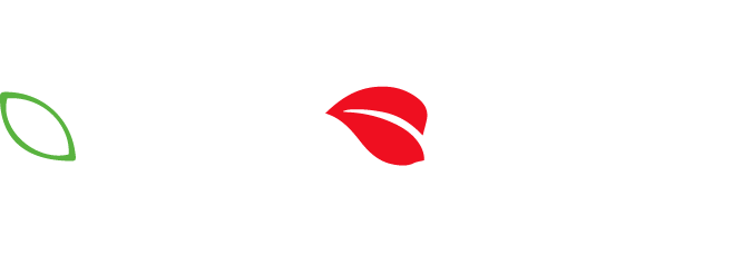 Our Home Decor Is Just So Peaceful And Versatile In - Our Home Decor Is Just So Peaceful And Versatile In (675x246)