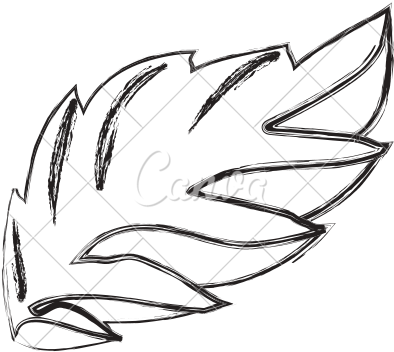 Plant Mint Leaf Transprent - Peppermint (550x550)