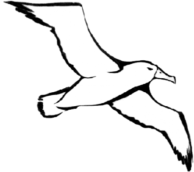 Albatross - Albatross Clipart (416x360)