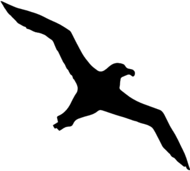 Albatross Silhouette - Albatross Silhouette (626x626)