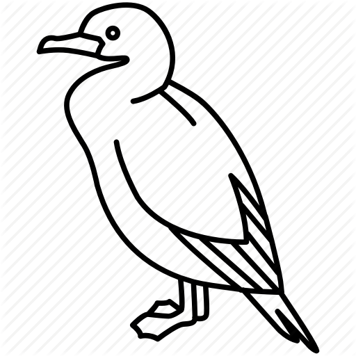 Clipart Library Download Birds Outlines By Jisun - Cormorant (512x512)