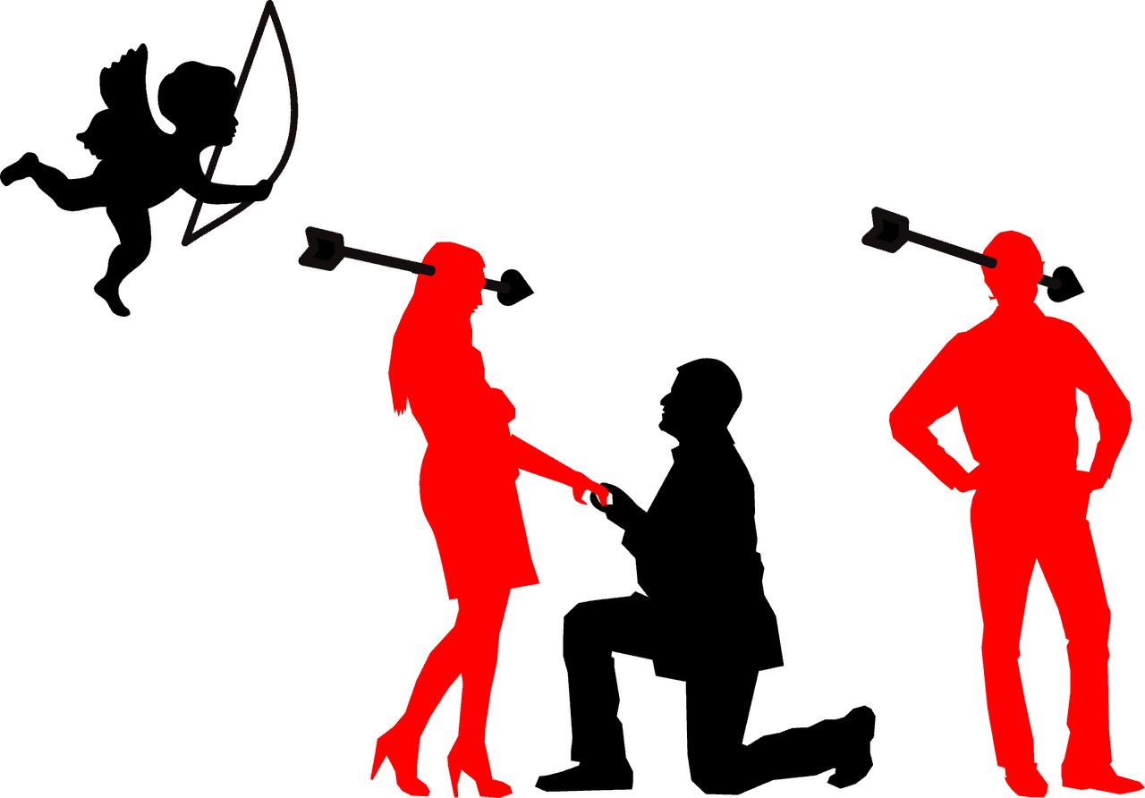 Ashley Madison Es Una Red Social Que Nació En El 2002 - Proposal Silhouette (1280x892)