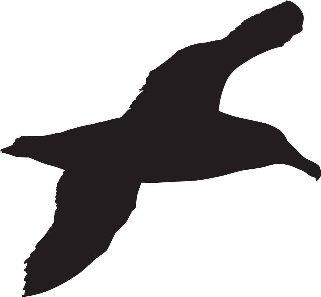 Graphic Black And White Black Footed Overview All - Sea Bird Silhouette (1024x1024)