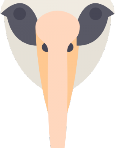 Albatross Clipart Birdblack - Illustration (640x480)