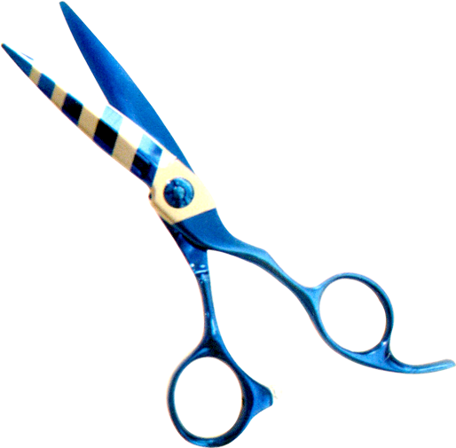 Alex Ent Name Plastic Handle Thinning Scissor - Hair-cutting Shears (600x600)