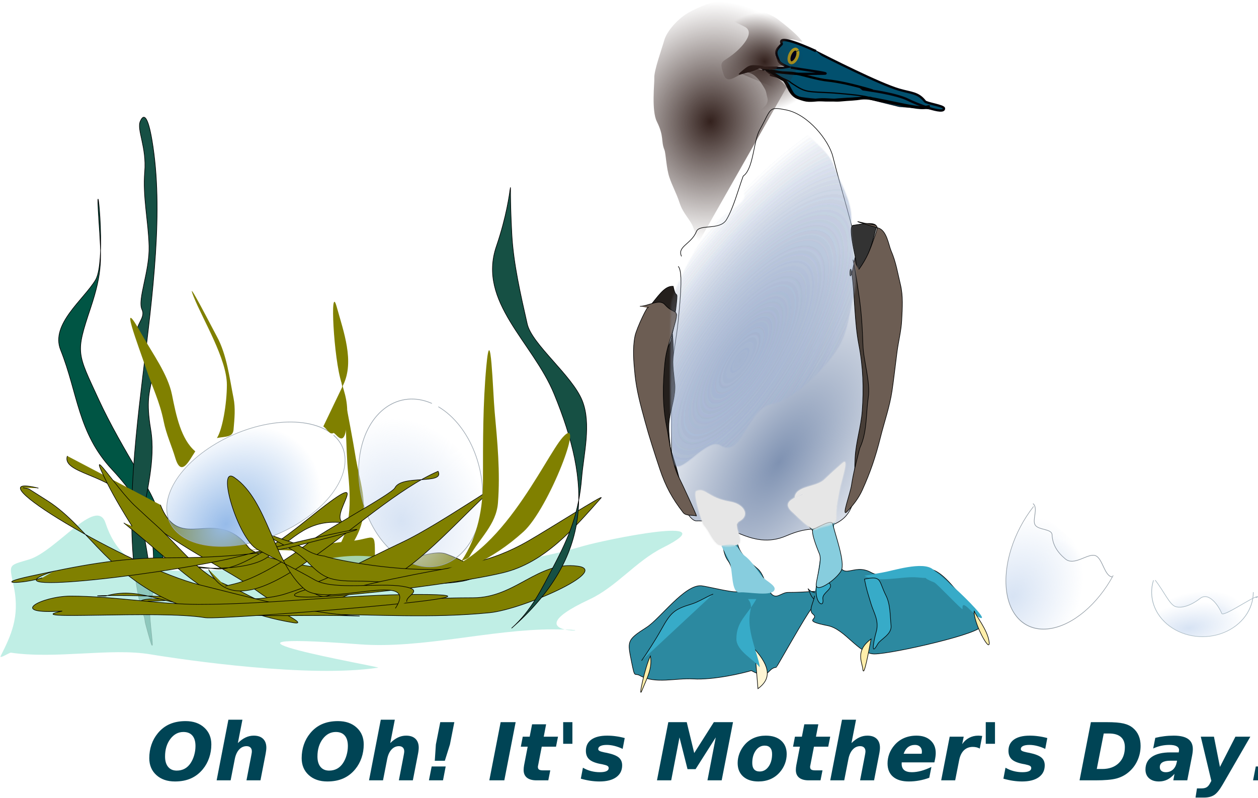 Sea Bird Clipart Logos - Seabird (2500x1607)