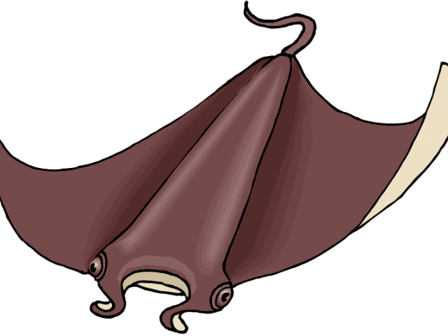 Stingray Clipart Angry - Stingray (640x480)