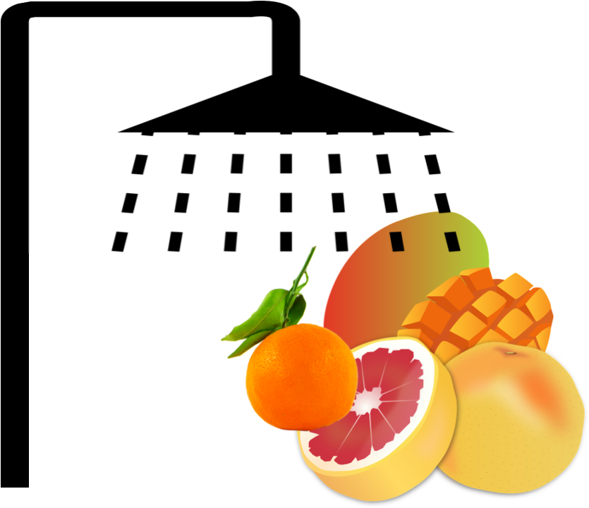 Its Baby Shower Clip Art - Custom Grapefruit Shower Curtain (960x720)