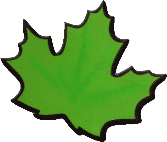 Madawaska Valley Studio Tour ~ - Maple Leaf (556x474)