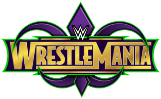 We're Celebrating Wwe Wrestlemania With A Free Tournament - 2018 Topps Wwe Road To Wrestlemania 10ct Blaster Box (600x200)