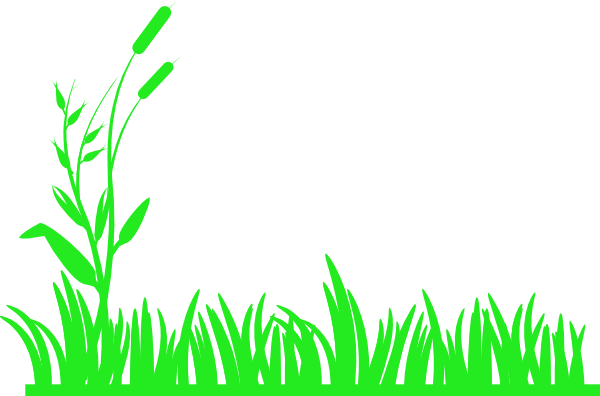 Png Royalty Free Bright Clip Art At Clker Com Vector - Blades Of Grass Clipart (600x396)