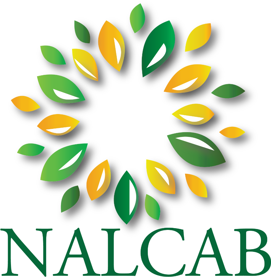 Community Clipart Nation Building - Matlab Logo Png (930x998)