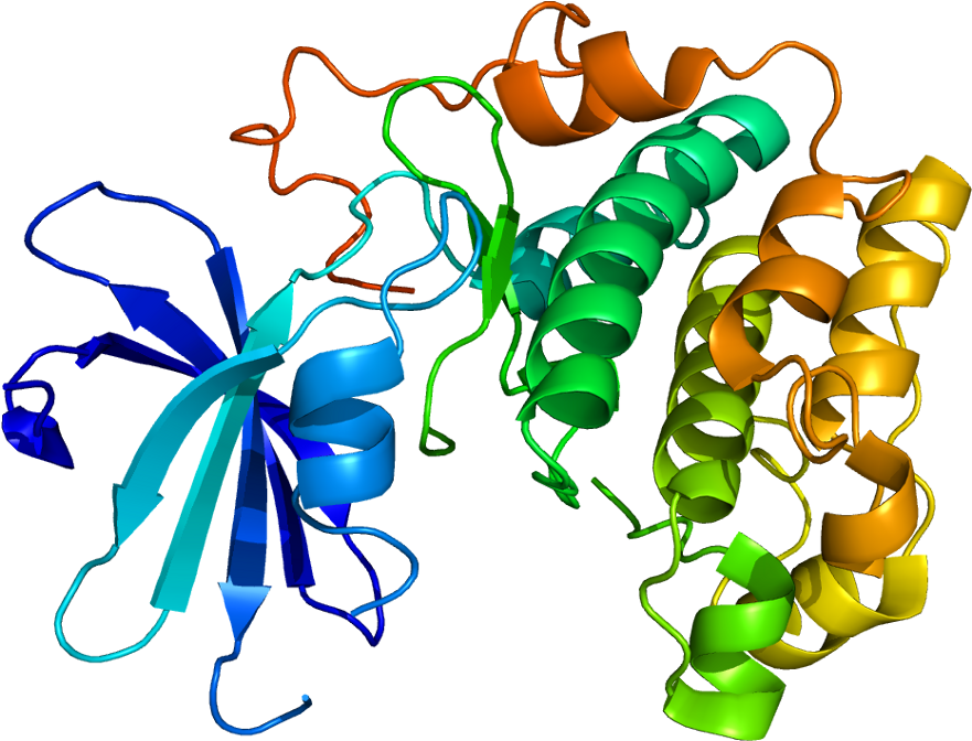 Akt2 Gene (930x721)