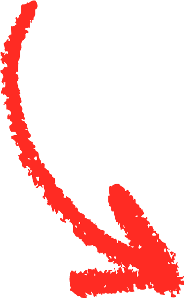 Lax Goalie - Illustration (419x669)