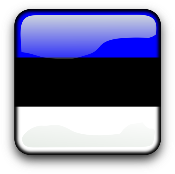 Flag Of Estonia National Flag Flag Of Poland Computer - Flag Of Estonia National Flag Flag Of Poland Computer (750x750)