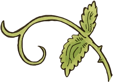 Hero King Or Traitorous Usurper - Hero King Or Traitorous Usurper (407x637)