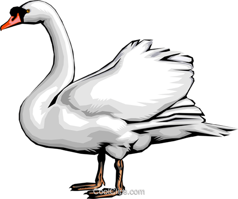 Swan Royalty Free Vector Clip Art Illustration - Swan (480x402)