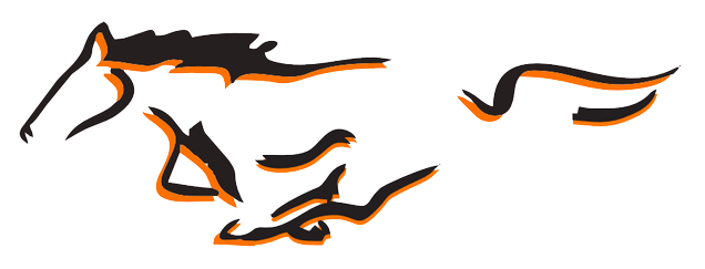 School Logo - Meadowbrook Colts (636x243)