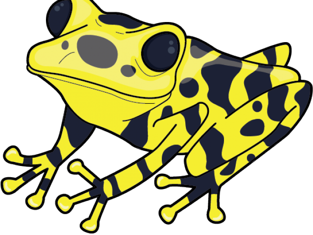 Tree Frog Clipart Poisonous - Clip Art Poison Dart Frog (640x480)
