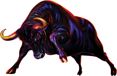 Charging Bull Png - Bull Png (510x346)