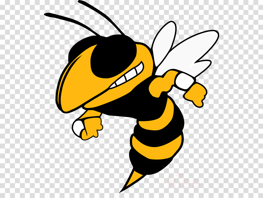 Oxnard Yellow Jackets Clipart Oxnard High School Georgia - Harpursville Hornets (900x680)