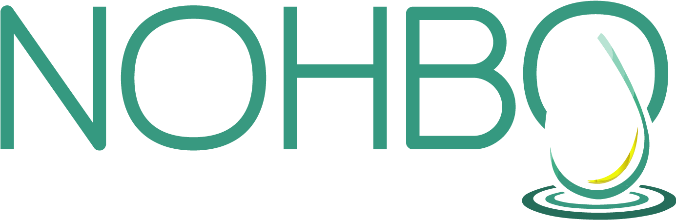 Nohbo Specializes In And Is At The Research & Development - Nohbo Logo (1419x496)